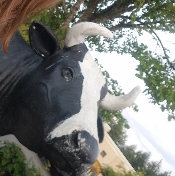 Meet your Posher, Emilia - Picture 1 of 1